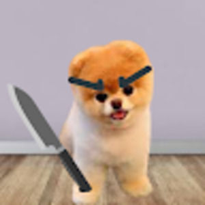 Meet your Posher, Brody